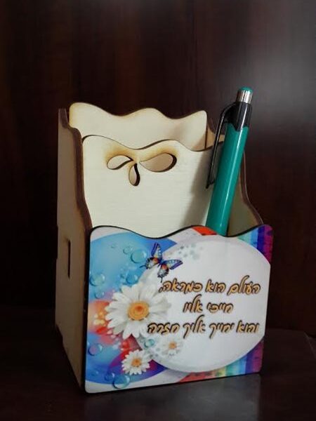 מיני ארגונית