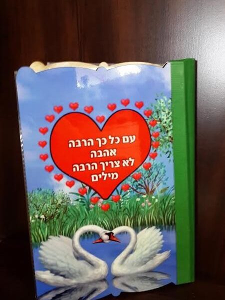 אלבום בכריכה אישית