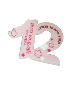 מחזיק מפתחות 12