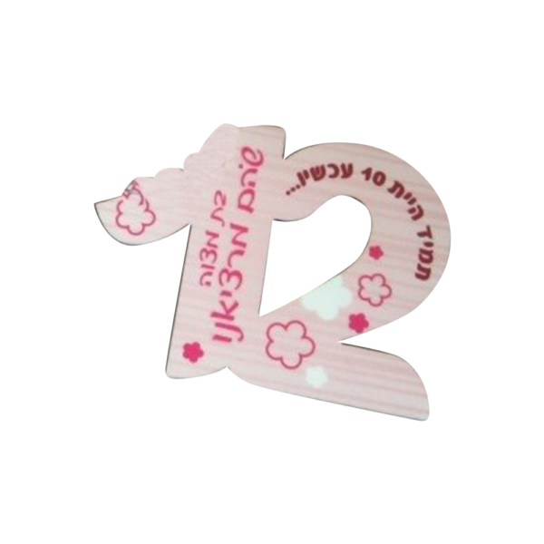 מחזיק מפתחות 12