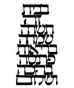 בבית זה חיתוך פרספקס