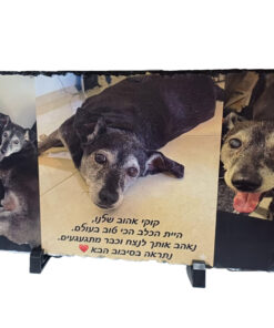 אבן בזלת טבעי להוקרה – כשההערכה שלכם חקוקה בסלע גודל 22/12 ס"מ