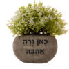 עציץ ברכה עם הקדשה אישית
