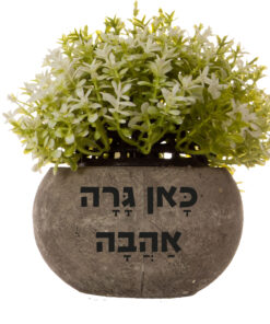עציץ ברכה עם הקדשה אישית