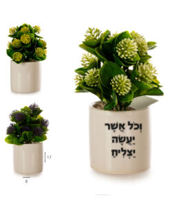 עציץ ברכה עם הקדשה אישית