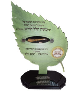 מתקן מיוחד בצורת עלה- ערבה