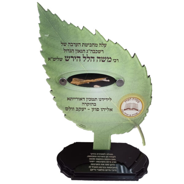מתקן מיוחד בצורת עלה- ערבה